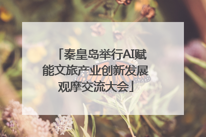秦皇岛举行AI赋能文旅产业创新发展观摩交流大会