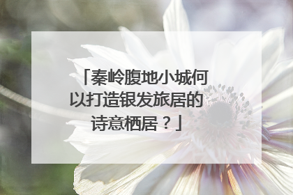 秦岭腹地小城何以打造银发旅居的诗意栖居？