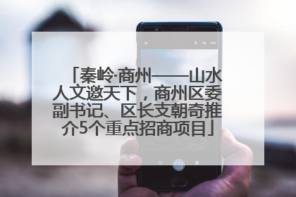 秦岭·商州——山水人文邀天下，商州区委副书记、区长支朝奇推介5个重点招商项目