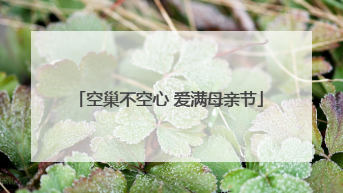空巢不空心 爱满母亲节