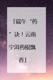 端午“药”诀！云南宁洱药根飘香