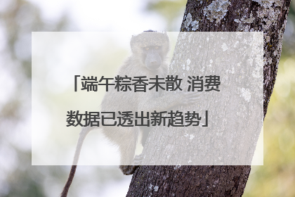 端午粽香未散 消费数据已透出新趋势