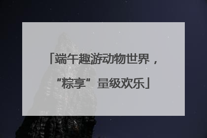 端午趣游动物世界，“粽享”量级欢乐
