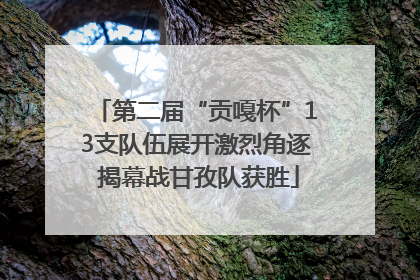 第二届“贡嘎杯”13支队伍展开激烈角逐 揭幕战甘孜队获胜