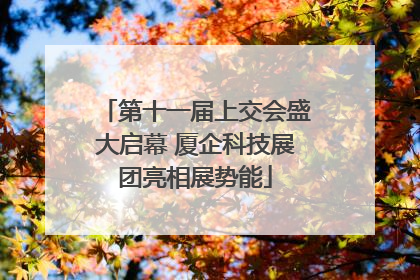 第十一届上交会盛大启幕 厦企科技展团亮相展势能