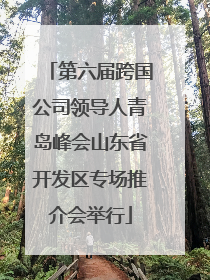 第六届跨国公司领导人青岛峰会山东省开发区专场推介会举行