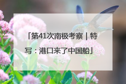 第41次南极考察｜特写：港口来了中国船