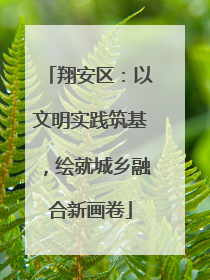 翔安区：以文明实践筑基，绘就城乡融合新画卷
