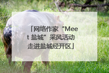 网络作家“Meet 盐城”采风活动走进盐城经开区