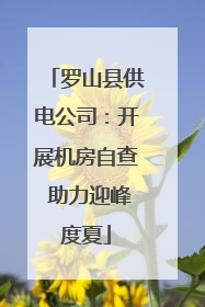 罗山县供电公司：开展机房自查 助力迎峰度夏