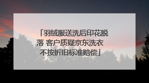 羽绒服送洗后印花脱落 客户质疑京东洗衣不按折旧标准赔偿
