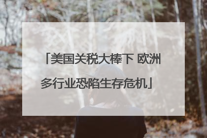 美国关税大棒下 欧洲多行业恐陷生存危机