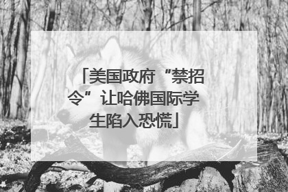 美国政府“禁招令”让哈佛国际学生陷入恐慌