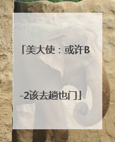 美大使：或许B-2该去趟也门