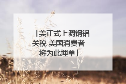 美正式上调钢铝关税 美国消费者将为此埋单
