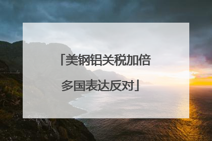 美钢铝关税加倍 多国表达反对