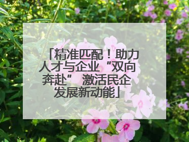 精准匹配！助力人才与企业“双向奔赴” 激活民企发展新动能
