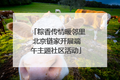 粽香传情暖邻里 北京链家开展端午主题社区活动