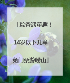粽香遇童趣！14岁以下儿童免门票游崂山