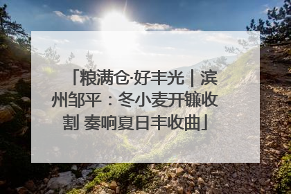 粮满仓·好丰光｜滨州邹平：冬小麦开镰收割 奏响夏日丰收曲