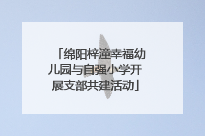 绵阳梓潼幸福幼儿园与自强小学开展支部共建活动