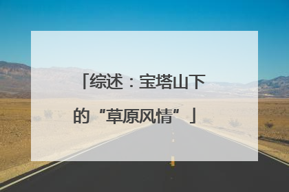 综述：宝塔山下的“草原风情”