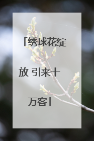 绣球花绽放 引来十万客