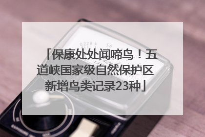 保康处处闻啼鸟！五道峡国家级自然保护区新增鸟类记录23种