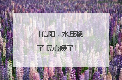 信阳：水压稳了 民心暖了