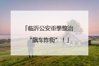 临沂公安重拳整治“飙车炸街”！