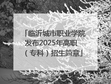 临沂城市职业学院发布2025年高职（专科）招生简章