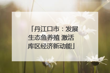 丹江口市：发展生态鱼养殖 激活库区经济新动能