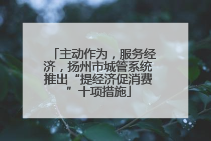 主动作为，服务经济，扬州市城管系统推出“提经济促消费”十项措施
