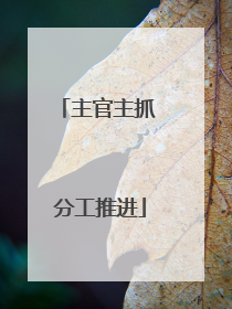 主官主抓 分工推进