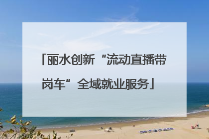 丽水创新“流动直播带岗车”全域就业服务