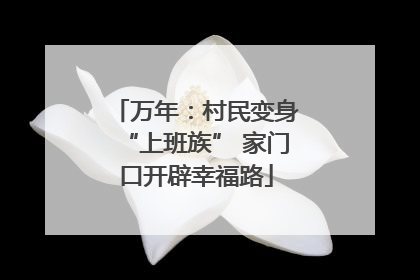 万年：村民变身“上班族” 家门口开辟幸福路