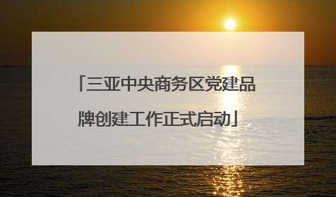 三亚中央商务区党建品牌创建工作正式启动