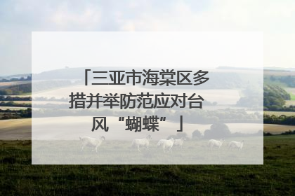 三亚市海棠区多措并举防范应对台风“蝴蝶”