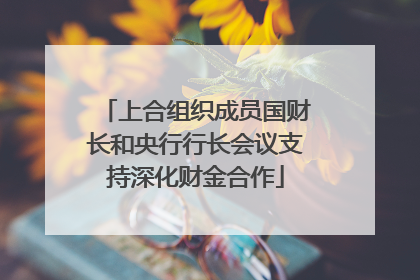 上合组织成员国财长和央行行长会议支持深化财金合作