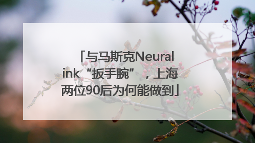 与马斯克Neuralink“扳手腕”，上海两位90后为何能做到
