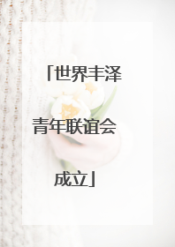 世界丰泽青年联谊会成立