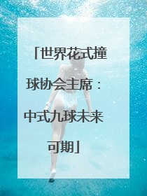 世界花式撞球协会主席：中式九球未来可期
