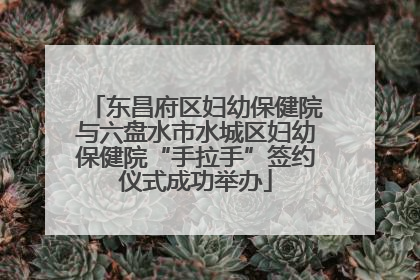 东昌府区妇幼保健院与六盘水市水城区妇幼保健院“手拉手”签约仪式成功举办