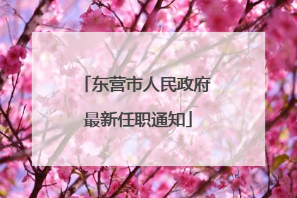 东营市人民政府最新任职通知