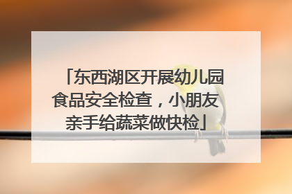 东西湖区开展幼儿园食品安全检查，小朋友亲手给蔬菜做快检