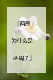 两周！为什么是两周？