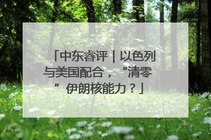 中东睿评｜以色列与美国配合，“清零”伊朗核能力？