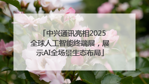 中兴通讯亮相2025全球人工智能终端展，展示AI全场景生态布局