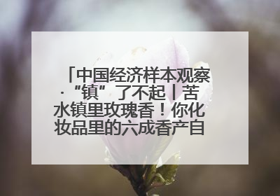 中国经济样本观察·“镇”了不起丨苦水镇里玫瑰香！你化妆品里的六成香产自这个小镇