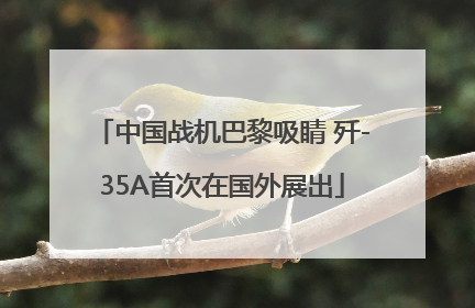 中国战机巴黎吸睛 歼-35A首次在国外展出